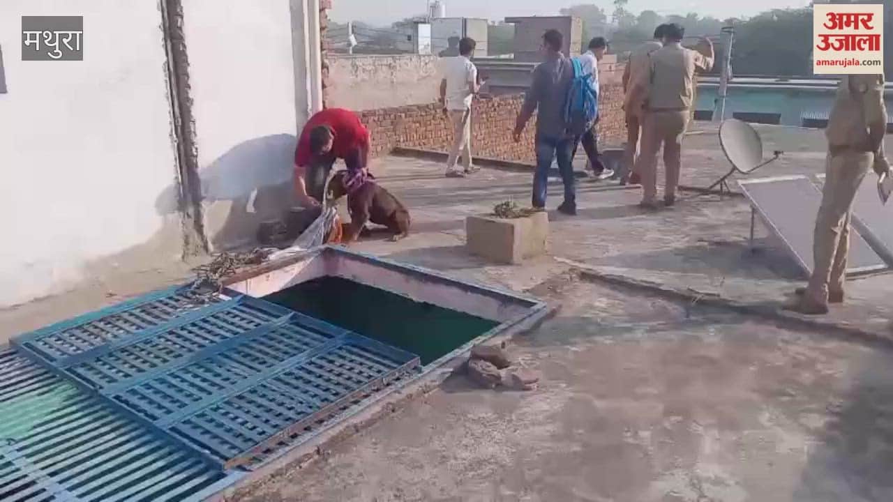 Mathura: Burglars Enter via Roof, Hold Family Hostage and Loot Cash and Jewellery