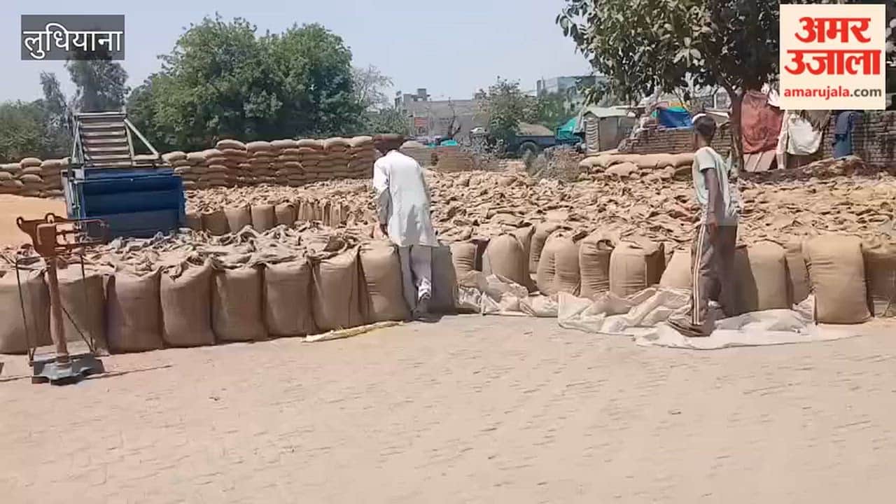 Farmers arrive at the Dana Mandi on Hambran Road in Ludhiana with their crops.