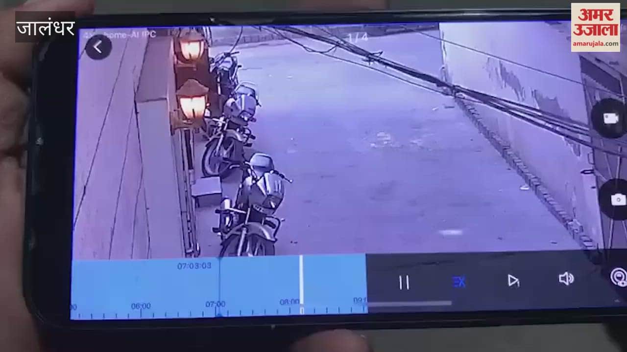 Bike Stolen from Outside House in Broad Daylight in Jalandhar; Incident Caught on CCTV