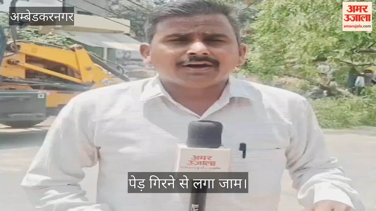 अंबेडकरनगर में जलालपुर-अकबरपुर मार्ग पर पेड़ गिरने से लगा जाम, बिजली गुल