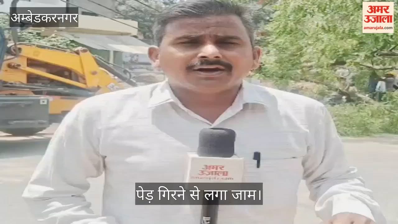 अंबेडकरनगर में जलालपुर-अकबरपुर मार्ग पर पेड़ गिरने से लगा जाम, बिजली गुल
