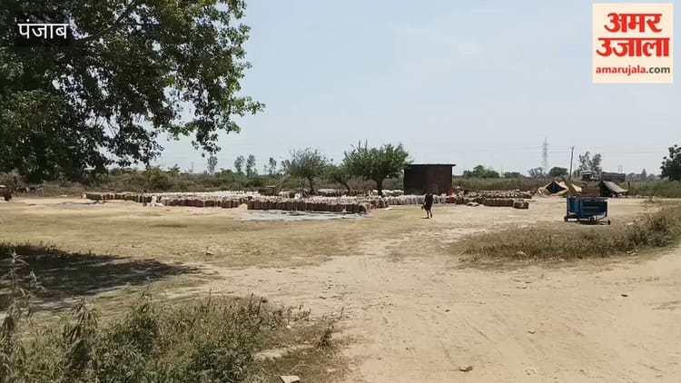 पठानकोट की दाना मंडियों में फसल की लिफ्टिंग धीमी, किसान परेशान