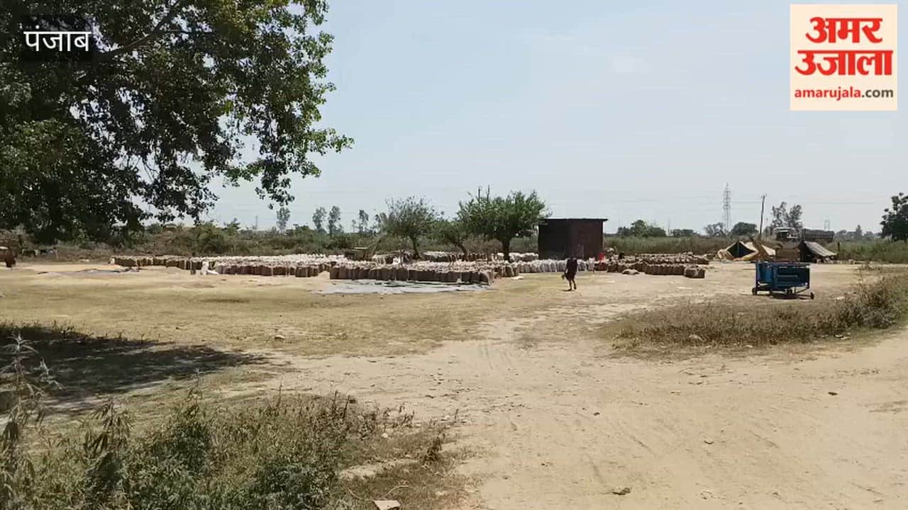Crop Lifting Slow in Pathankot's Grain Markets; Farmers Distressed