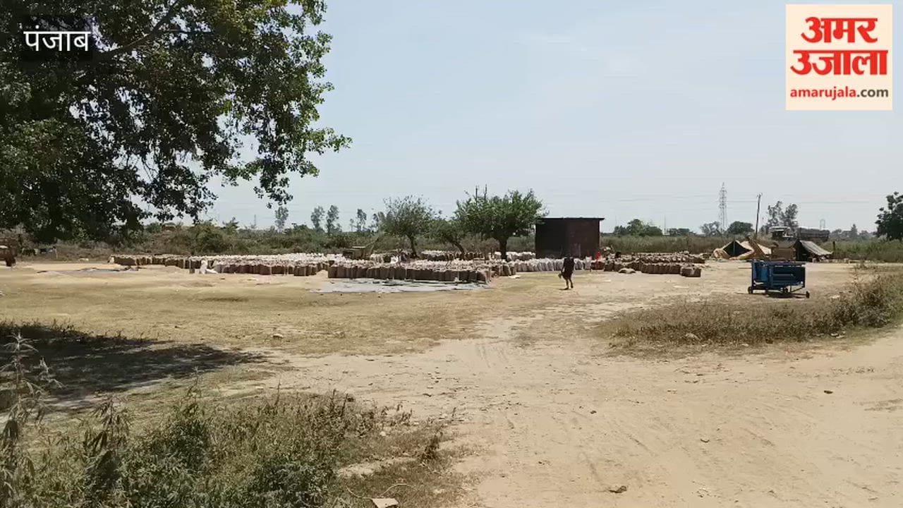 Crop Lifting Slow in Pathankot's Grain Markets; Farmers Distressed