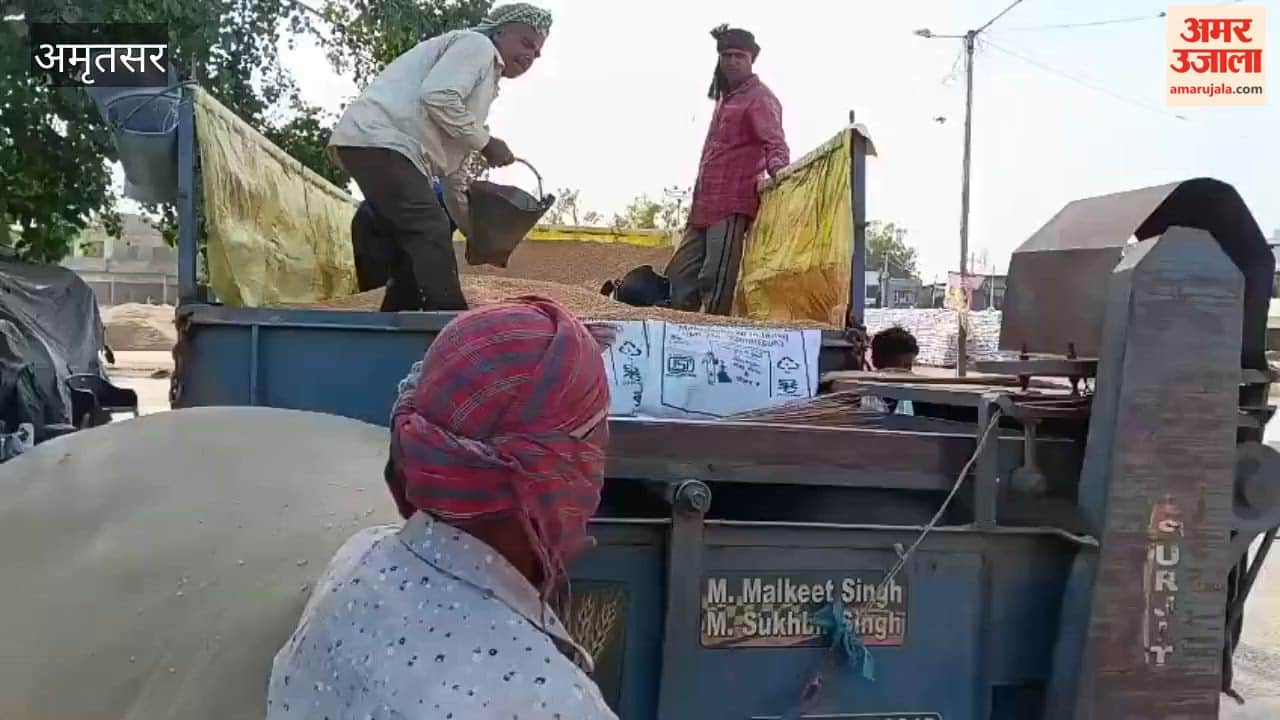 Demand for Expediting Payment and Procurement Processes at Amritsar's Bhagtanwala Grain Market