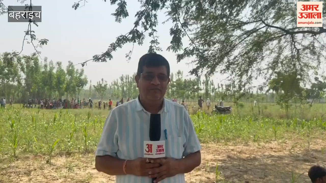 बहराइच में पेड़ पर चढ़ा तेंदुआ, वन विभाग ने संभाला मोर्चा