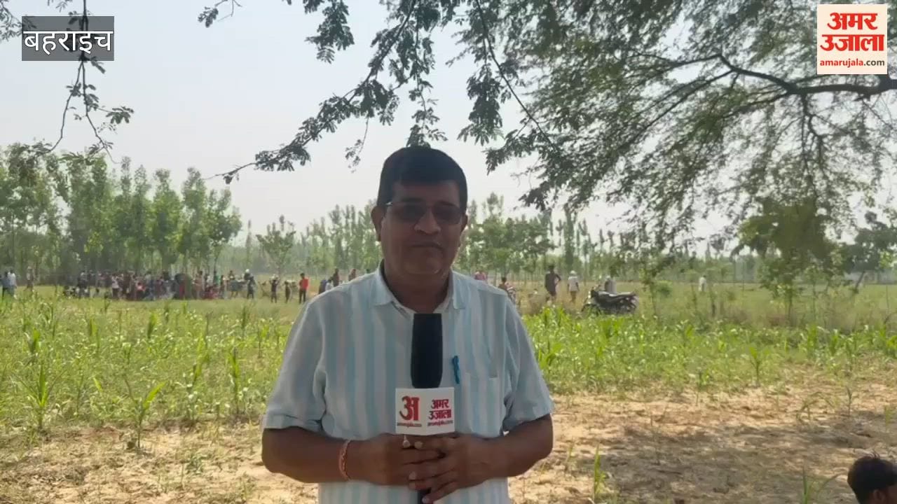 बहराइच में पेड़ पर चढ़ा तेंदुआ, वन विभाग ने संभाला मोर्चा