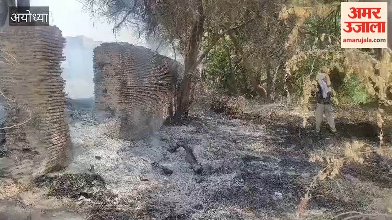 अयोध्या में छोटी देवकाली मंदिर के पास जंगल में लगी आग, फायर सर्विस ने पाया काबू