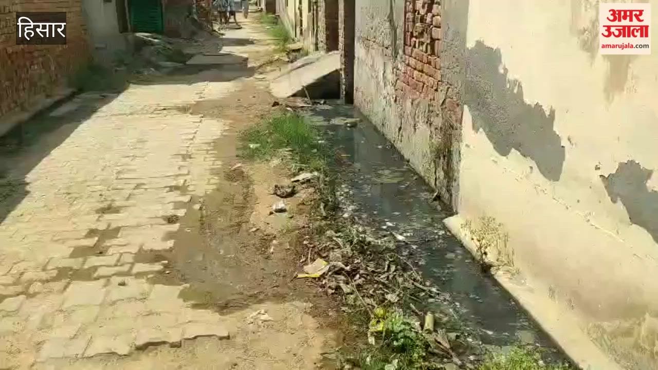 Sanitation and Streetlight Issues in Gangwa Village, Hisar; Villagers Demand Increase in Number of Sanitation Workers