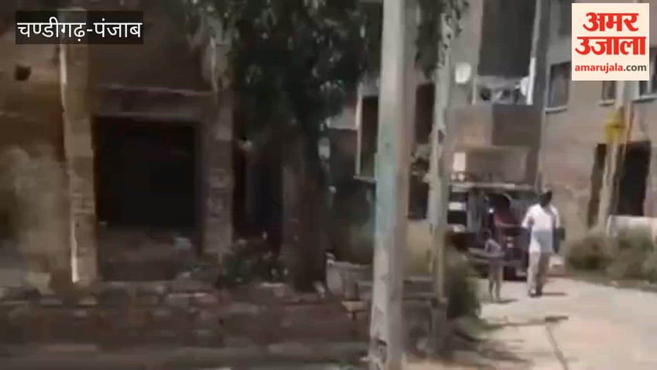 Under Operation CASO, the Ferozepur Police conducted a raid in the Housing Board Colony and carried out house-to-house checks.