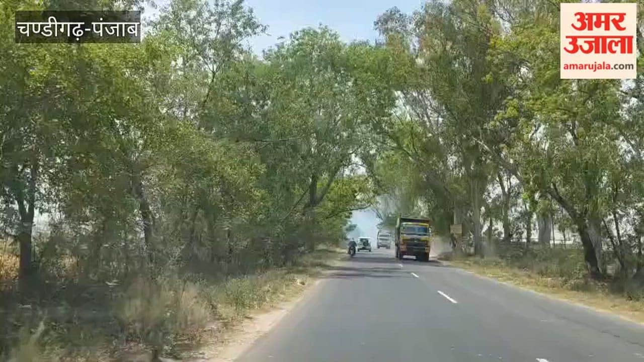 Wheat stubble set on fire on Ferozepur-Zira Road; smoke engulfs the road.