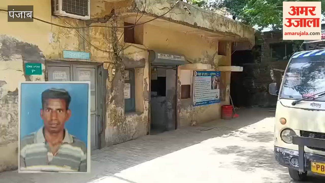 Stray Animals Collide with Motorcyclist in Moga; Rider Dies