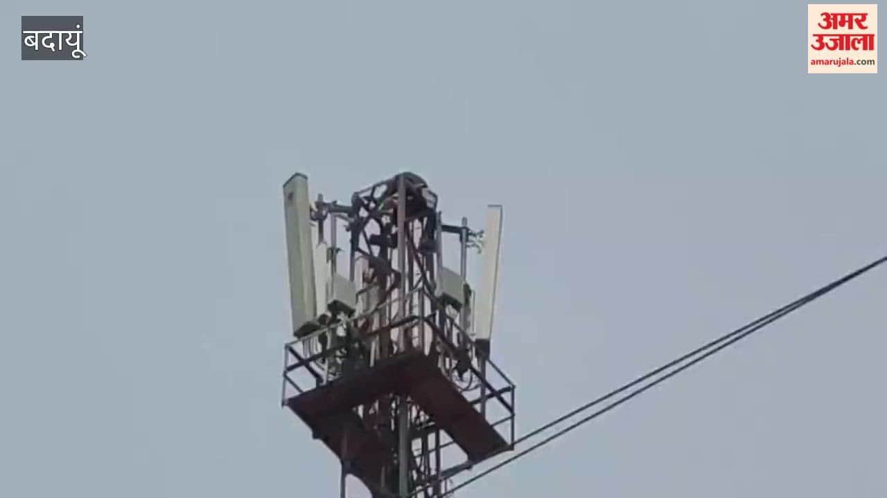 Woman Climbs Tower Demanding a Retrial in Budaun