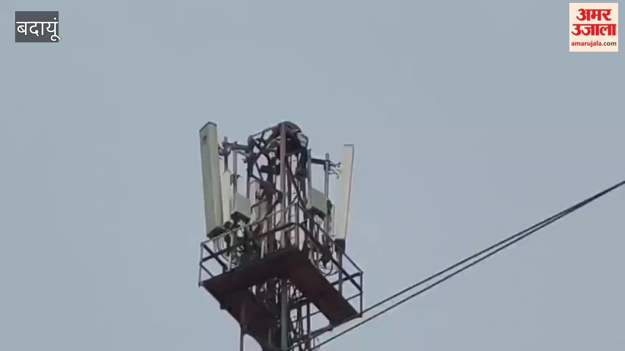 Woman Climbs Tower Demanding a Retrial in Budaun