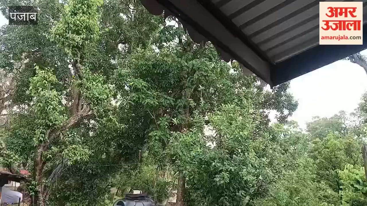 Temperature drops in Pathankot due to rain