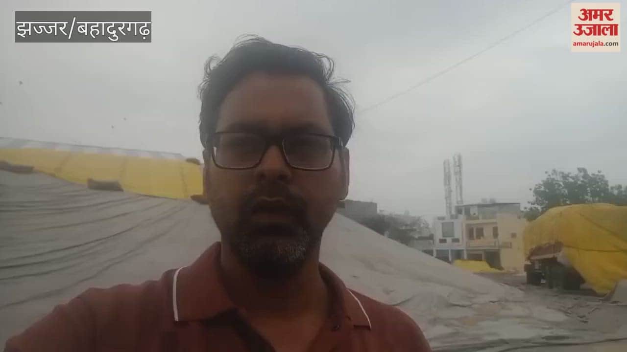 Rain begins in Jhajjar at 3 AM; wheat gets soaked in the market.