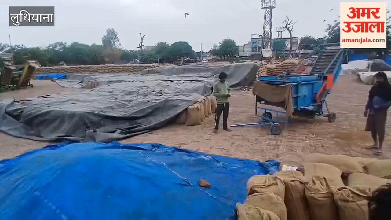 Rain in Ludhiana; farmers cover wheat sacks with tarpaulins.