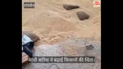 Heavy rain and storms have soaked wheat, causing significant damage