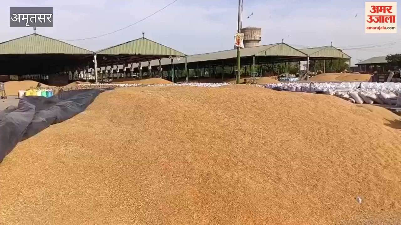 Farmers at Amritsar Bhagtanwala Grain Market Demand Compensation