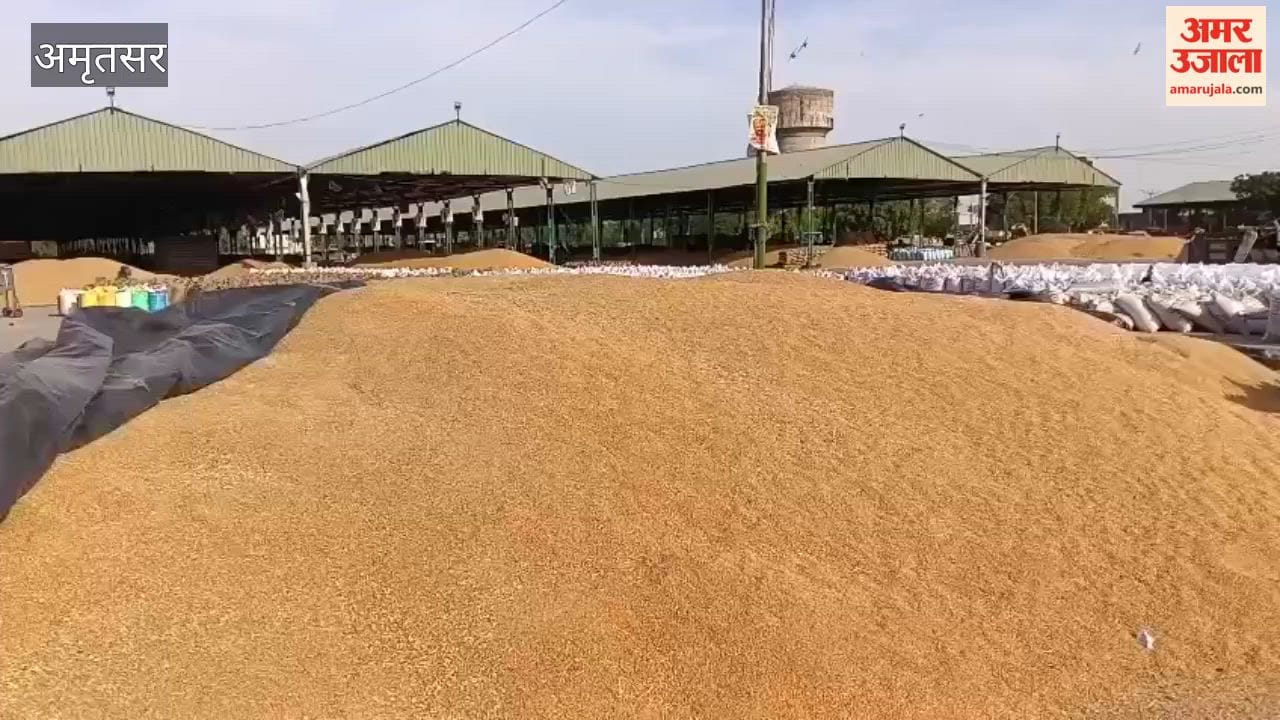 Farmers at Amritsar Bhagtanwala Grain Market Demand Compensation
