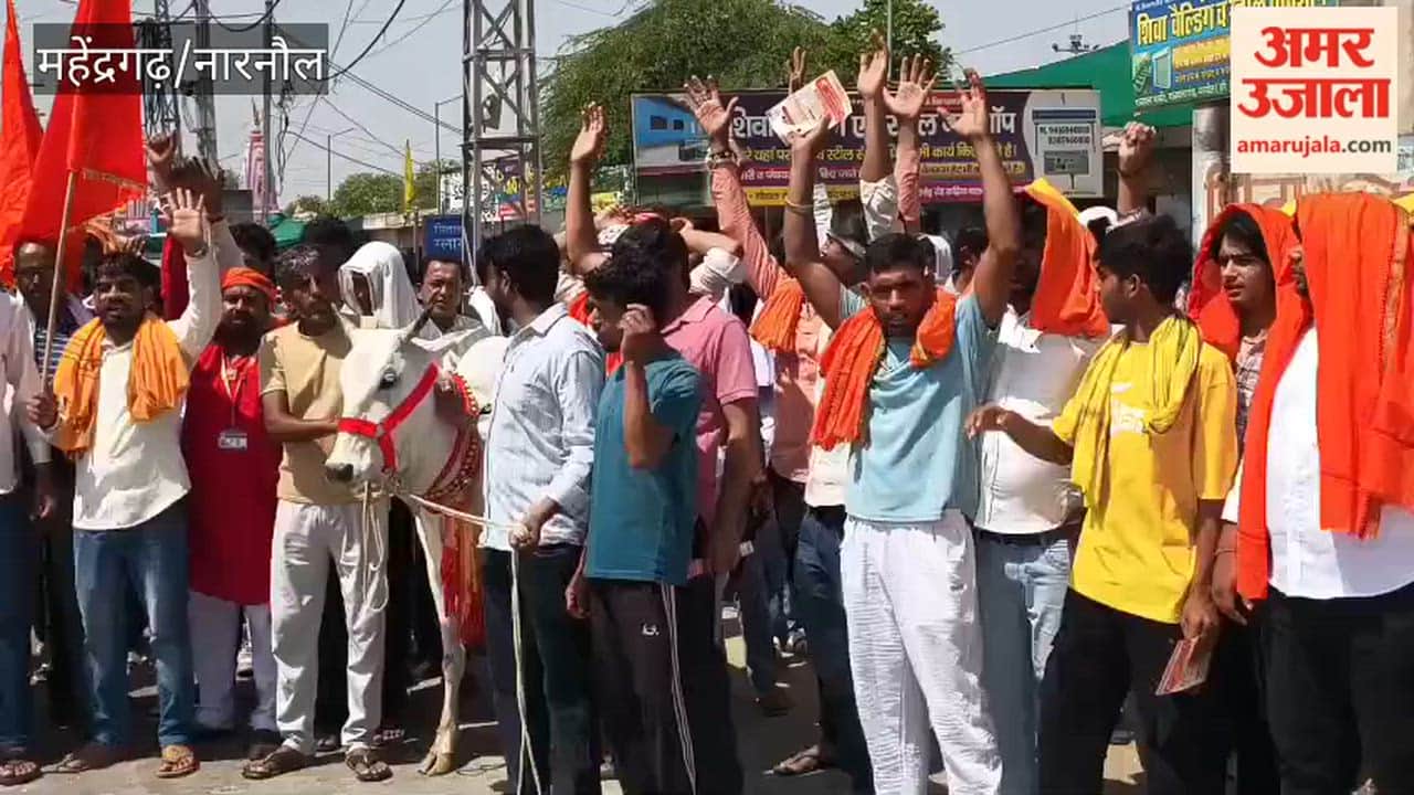 Demonstration to give national honor to mother cow