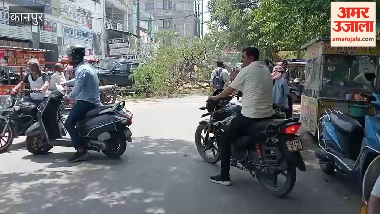 Kanpur: Neem Tree Snaps and Falls Near Kakadev Om Crossing; Traffic Disrupted