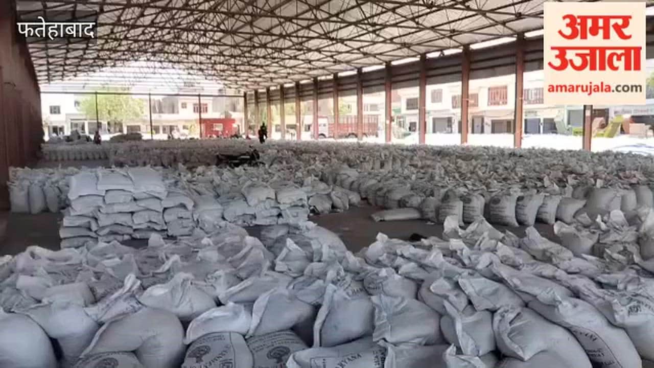 Farmers protest at grain market over slow lifting