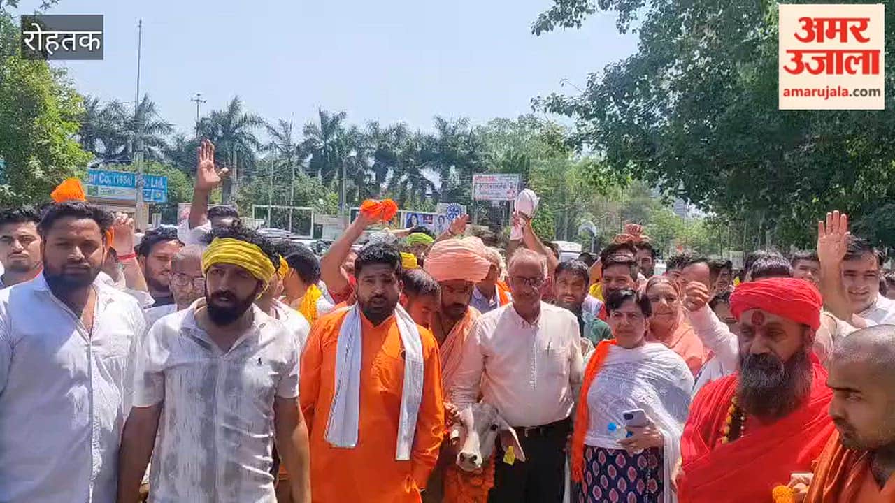 Cow protectors staged a protest over the calf