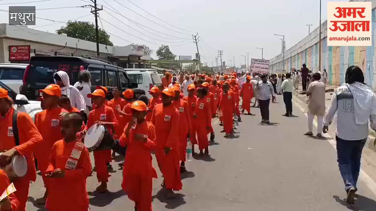 Cow Runs Amok at Go Samman Rally