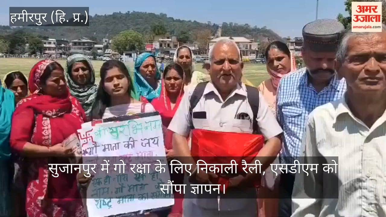 Rally Held in Sujanpur for Cow Protection; Memorandum Submitted to SDM