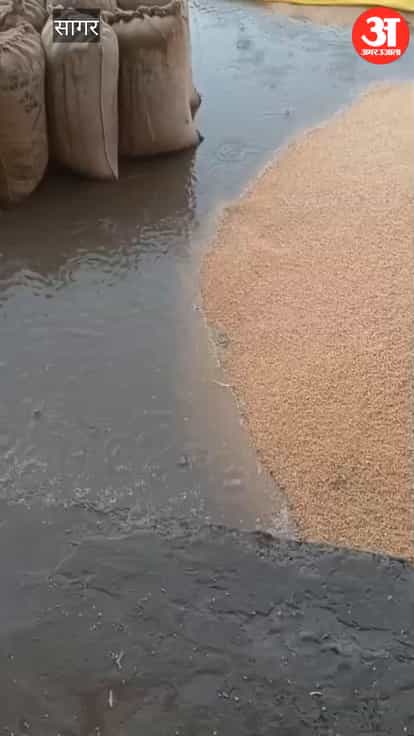 Unseasonal rain wreaks havoc in Gadhakota Mandi: Farmers' gold washed away in drains, traders withdraw