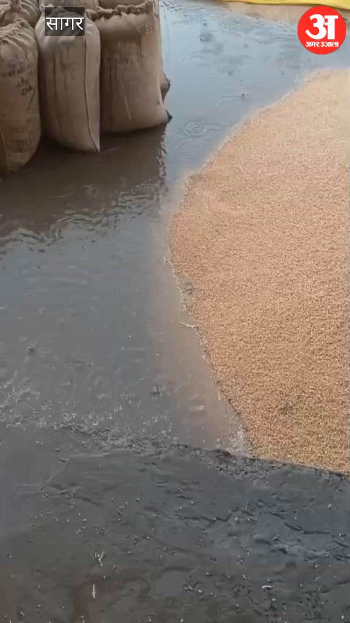 Unseasonal rain wreaks havoc in Gadhakota Mandi: Farmers' gold washed away in drains, traders withdraw