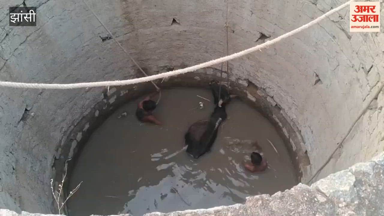 Villagers rescued a bull that had fallen into a well and brought it out safely.