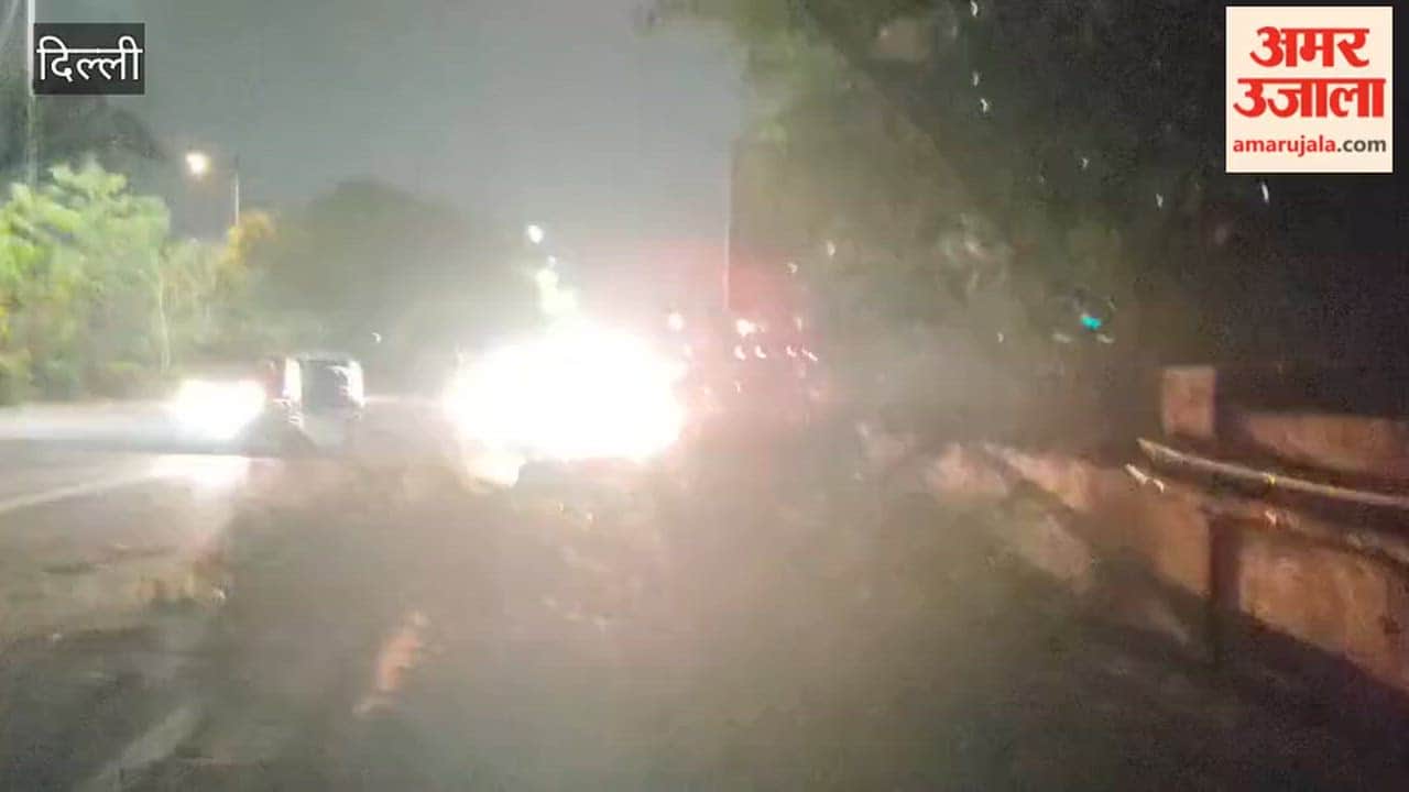 Heavy storm in Delhi breaks tree branches, halts vehicle movement