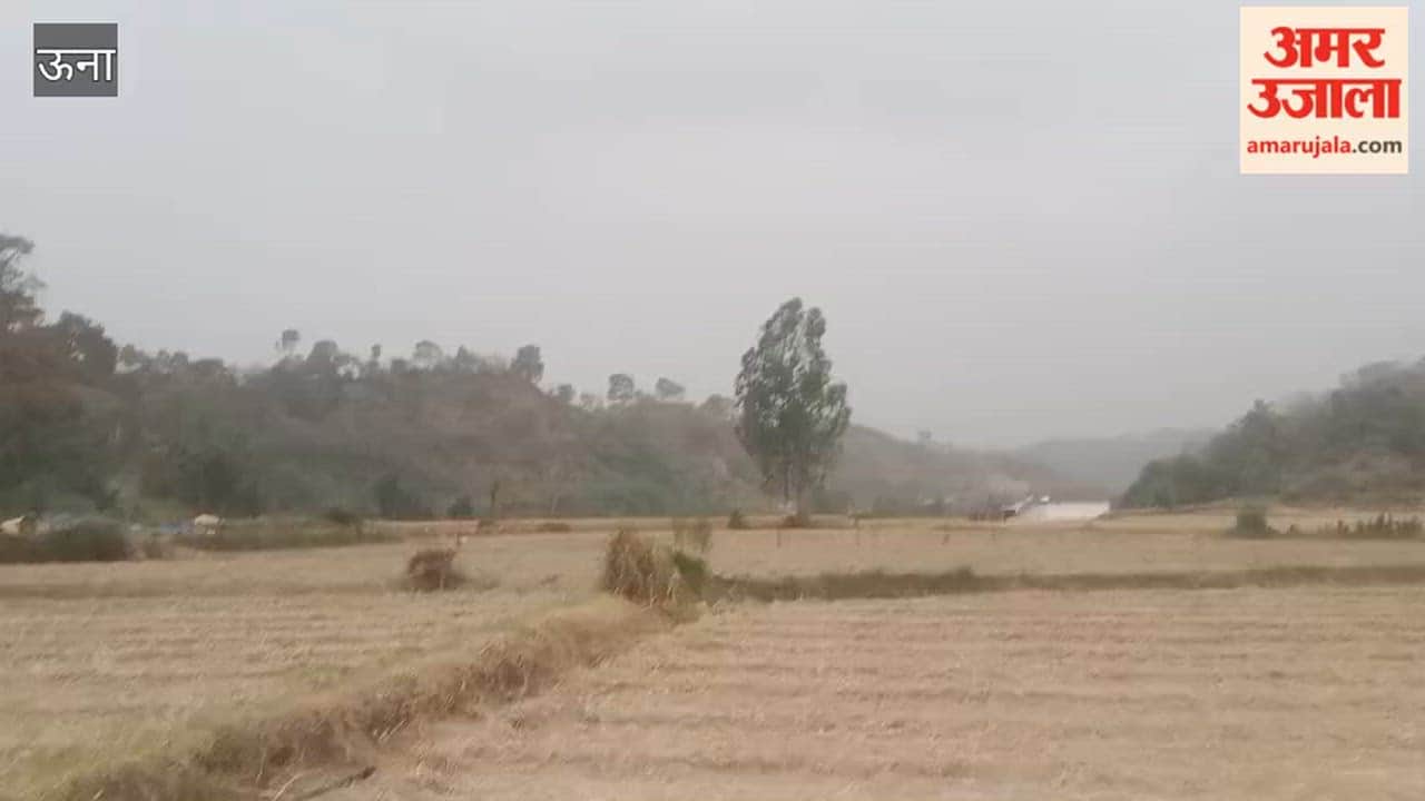 Una Farmers Concerns Mount Amidst Changing Weather Patterns; Farmers Scramble to Safeguard Fodder