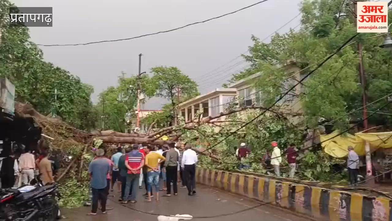 Heavy rain accompanied by thunderstorms lashed Pratapgarh, uprooting several trees and disrupting traffic.