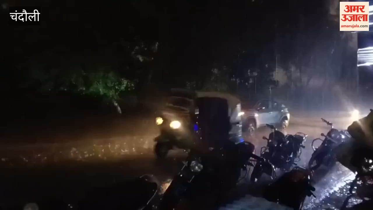 Storm Rages Through Chandauli 50 km/h Over 100 Trees Uprooted
