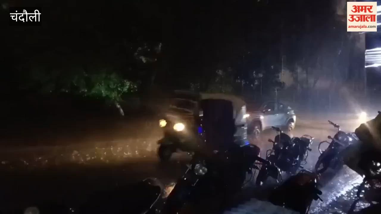 Storm Rages Through Chandauli 50 km/h Over 100 Trees Uprooted