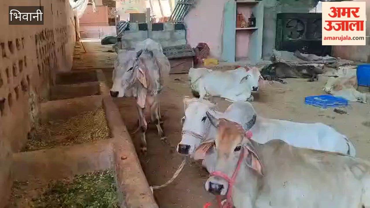 The Animal Husbandry Department has geared up to make Bhiwani a foot-and-mouth disease-free district.