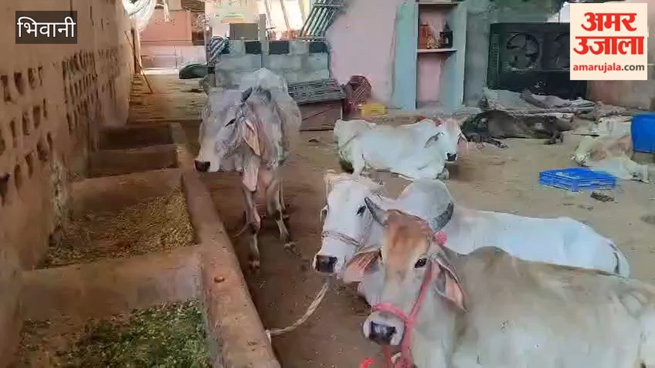 The Animal Husbandry Department has geared up to make Bhiwani a foot-and-mouth disease-free district.