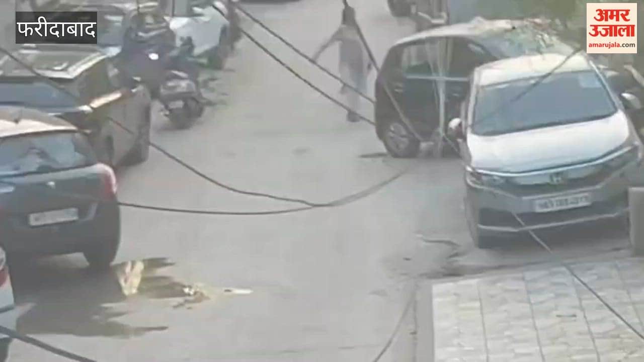 lady beat a 75-year-old elderly woman In Ballabhgarh pushing her to the ground