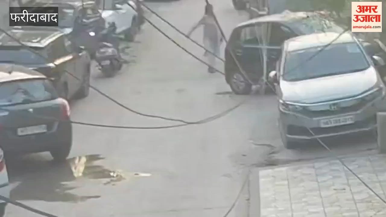 lady beat a 75-year-old elderly woman In Ballabhgarh pushing her to the ground
