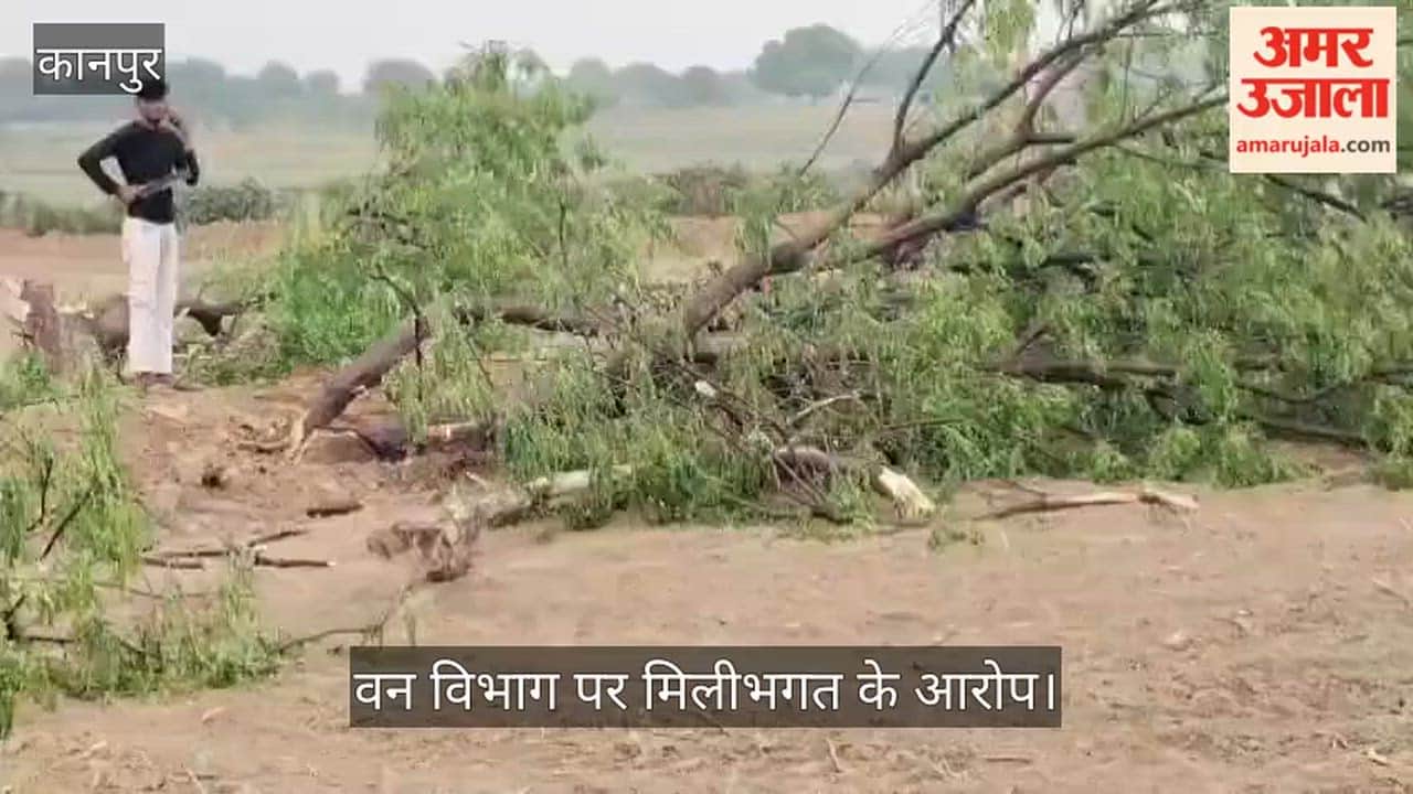 Kanpur Neem Trees Being Felled Rampantly Without Permission Villagers Raise Questions Over Sad Police Silence
