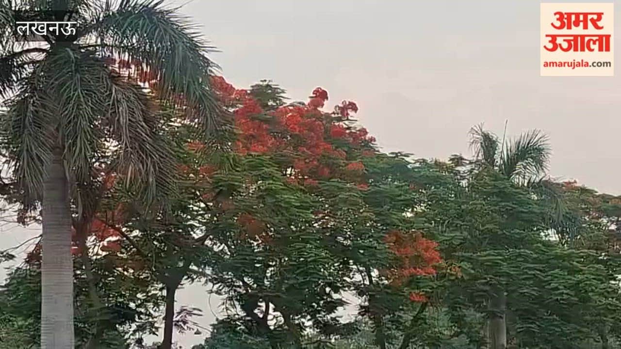 लखनऊ में मौसम खुशनुमा, गर्मी से लोगों को राहत