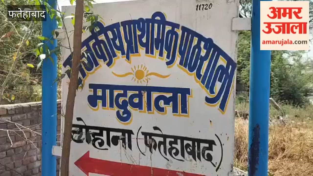 Love, the son of a former Sarpanch from Tohana in Fatehabad, is set to receive a Scout Certificate from the President; he has become the only student from the state to achieve this distinction