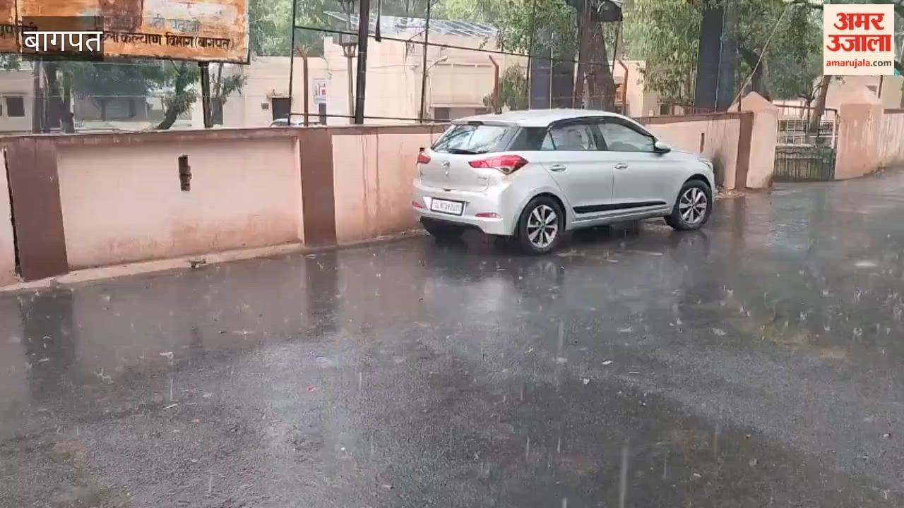 Baghpat: Rain brings relief from heat in Baghpat, hailstorm raises concerns for farmers