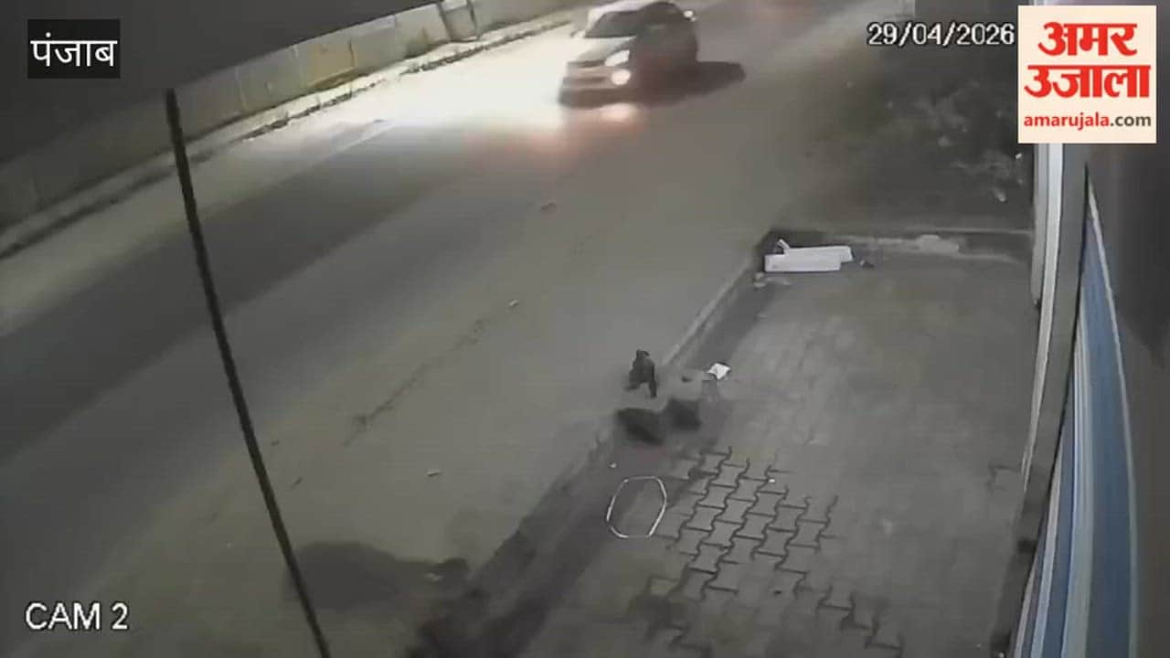 Speeding Canter Wreaks Havoc in Moga: One Dead, One Injured