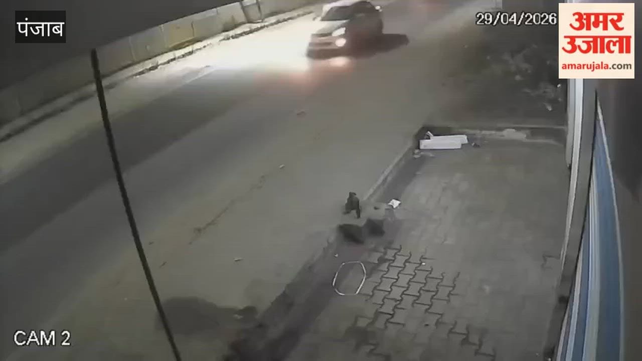 Speeding Canter Wreaks Havoc in Moga: One Dead, One Injured