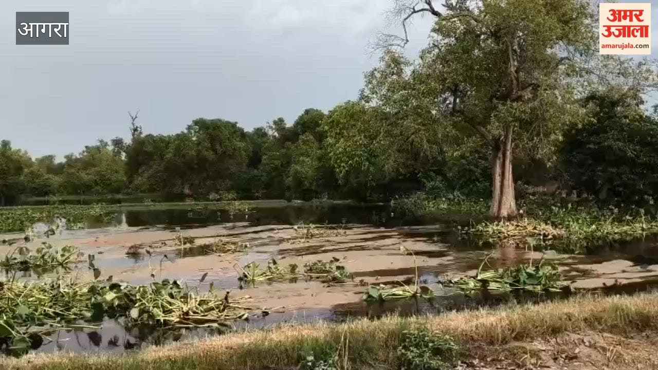 Fields submerged due to breach in drain