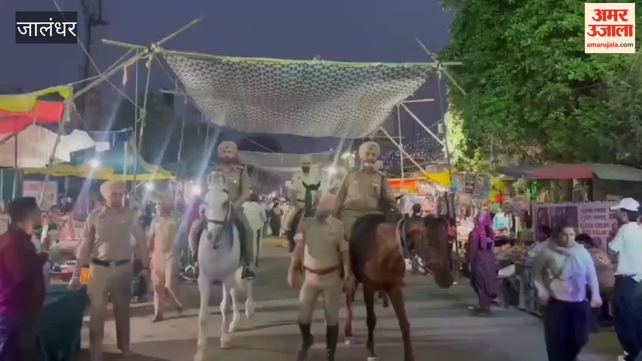 Strict Security Arrangements for Dera Baba Murad Shah Ji Fair: 800 Police Personnel Deployed, Traffic Plan Also Implemented